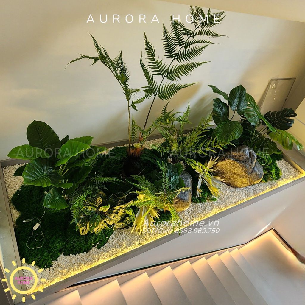 Tiểu cảnh cây dương xỉ bonsai trang trí chân cầu thang