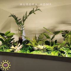 Tiểu cảnh cây dương xỉ bonsai trang trí chân cầu thang