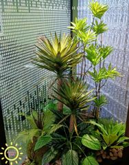 Tiểu cảnh cây giả nhiệt đới trang trí văn phòng