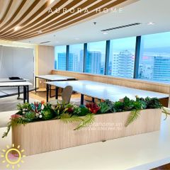 Bồn cây sen đá giả decor văn phòng