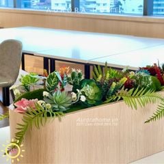 Bồn cây sen đá giả decor văn phòng