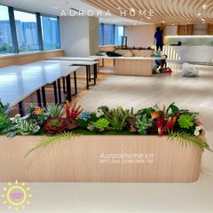 Bồn cây sen đá giả decor văn phòng