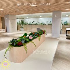 Bồn cây sen đá giả decor văn phòng