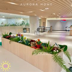 Bồn cây sen đá giả decor văn phòng