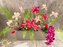 Bồn hoa Sayuri phối lan độc đáo trang trí