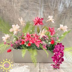 Bồn hoa Sayuri phối lan độc đáo trang trí