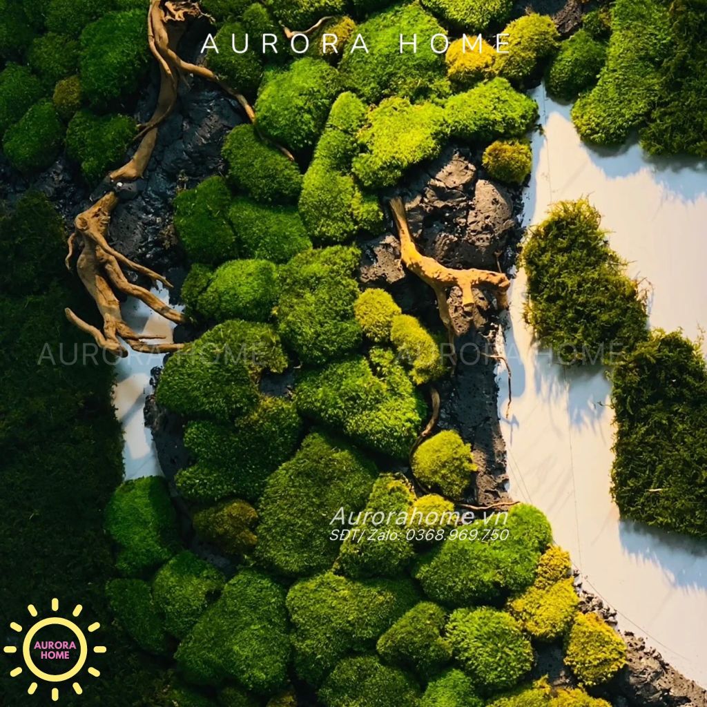 Tiểu cảnh vách tường rêu decor trang trí văn phòng nghệ thuật