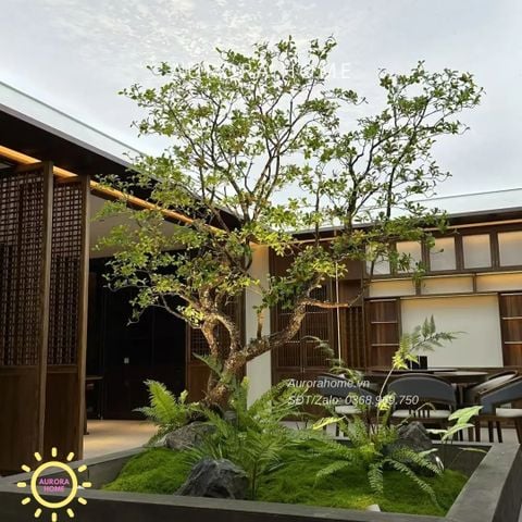 Tiểu cảnh cây xanh cổ thụ trang trí (Mẫu 11)