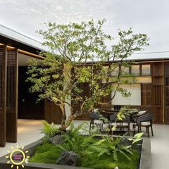 Tiểu cảnh cây xanh cổ thụ trang trí (Mẫu 11)