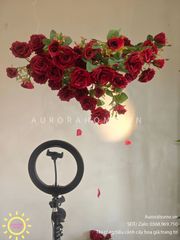 Tiểu cảnh hoa hồng trang trí tường lãng mạn