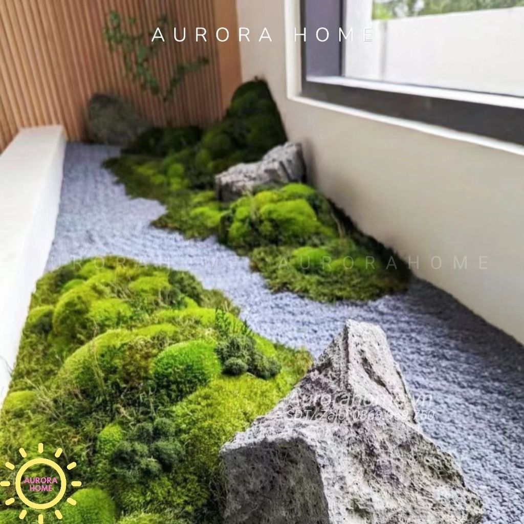 Tiểu cảnh rêu bonsai phong cách Nhật Bản