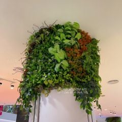 Tiểu cảnh vách tường cây giả trang trí trung tâm thương mại