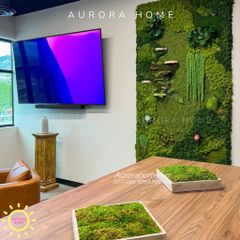 Tiểu cảnh vách tường rêu giả trang trí