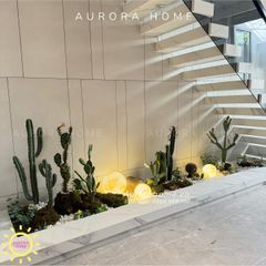 Bộ tiểu cảnh xương rồng giả decor phòng (Mẫu 10)