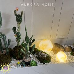 Bộ tiểu cảnh xương rồng giả decor phòng (Mẫu 10)