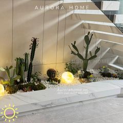 Bộ tiểu cảnh xương rồng giả decor phòng (Mẫu 10)