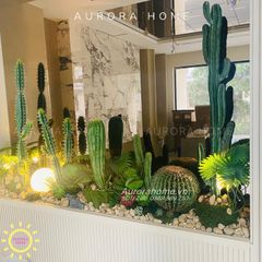 Bộ tiểu cảnh xương rồng giả decor phòng (Mẫu 16)