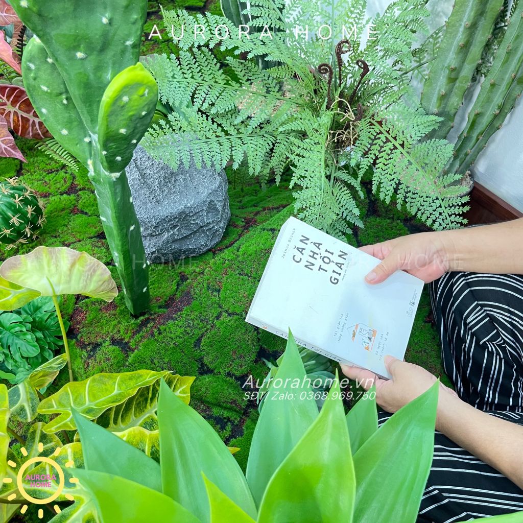 Set tiểu cảnh xương rồng giả decor phòng (Mẫu 2)