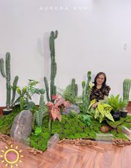 Set tiểu cảnh xương rồng giả decor phòng (Mẫu 2)