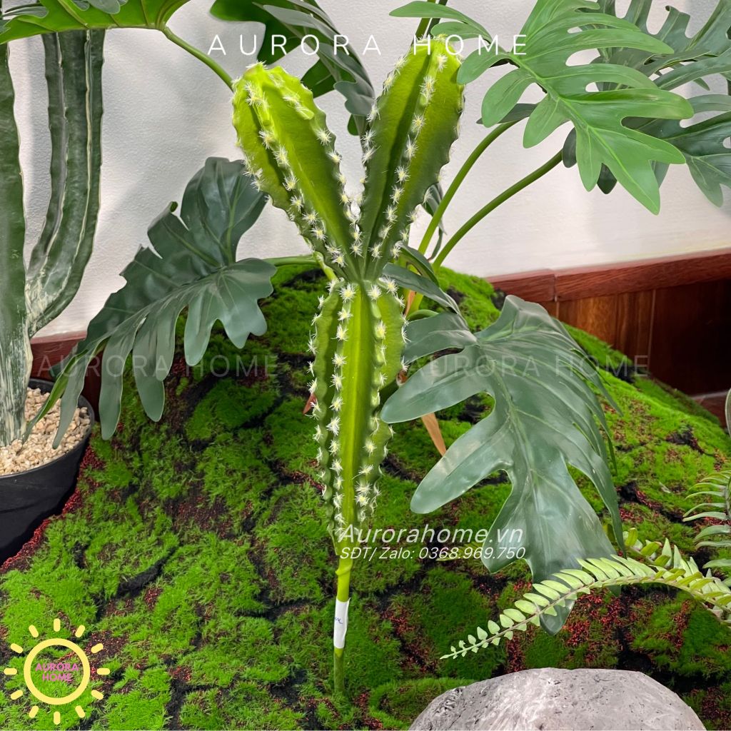 Set tiểu cảnh xương rồng giả decor phòng (Mẫu 2)