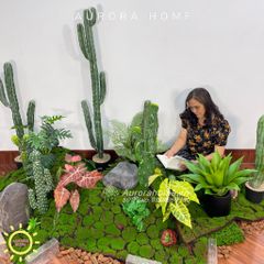 Set tiểu cảnh xương rồng giả decor phòng (Mẫu 2)