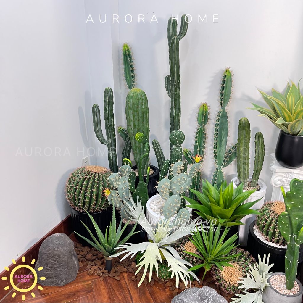Set tiểu cảnh xương rồng giả decor phòng