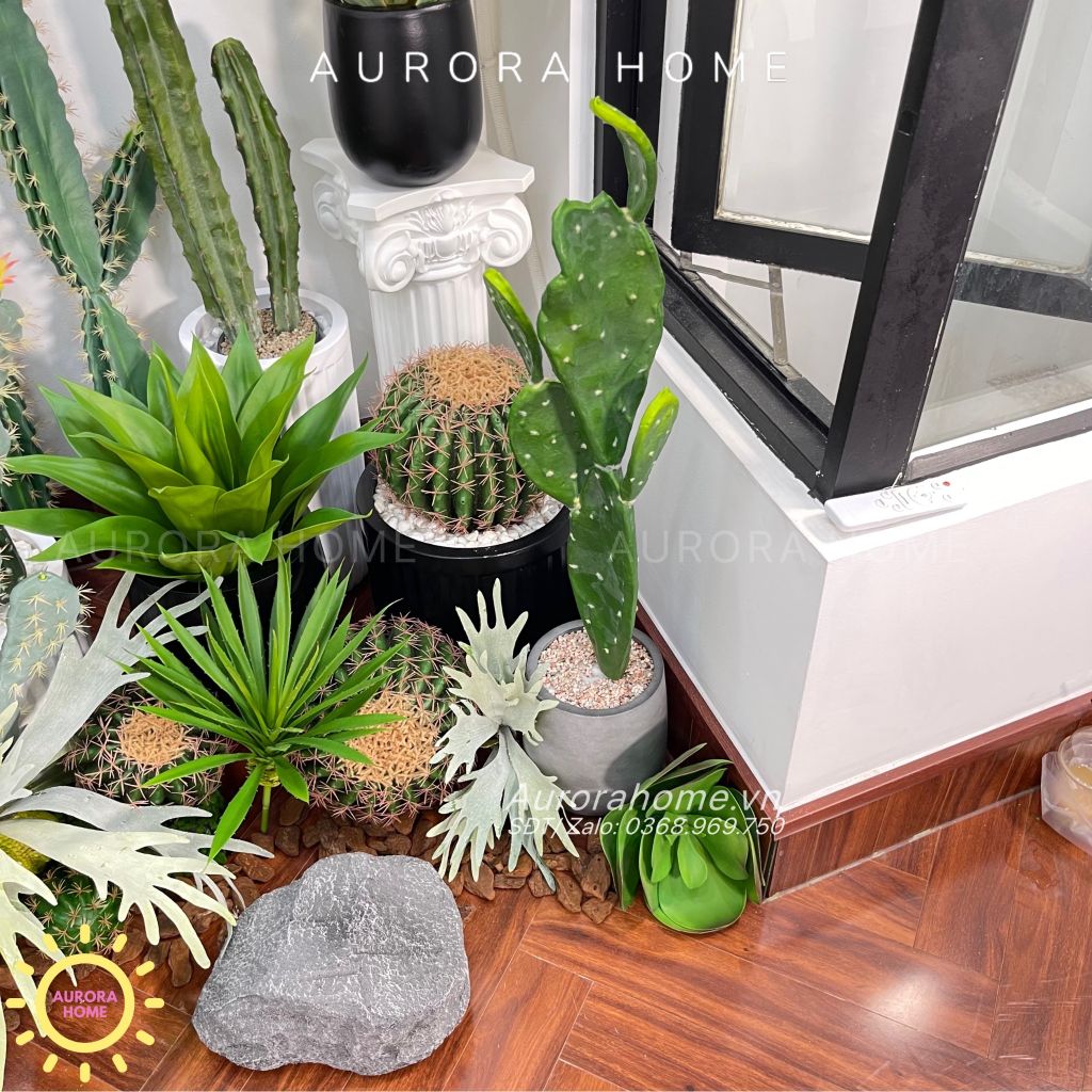 Set tiểu cảnh xương rồng giả decor phòng