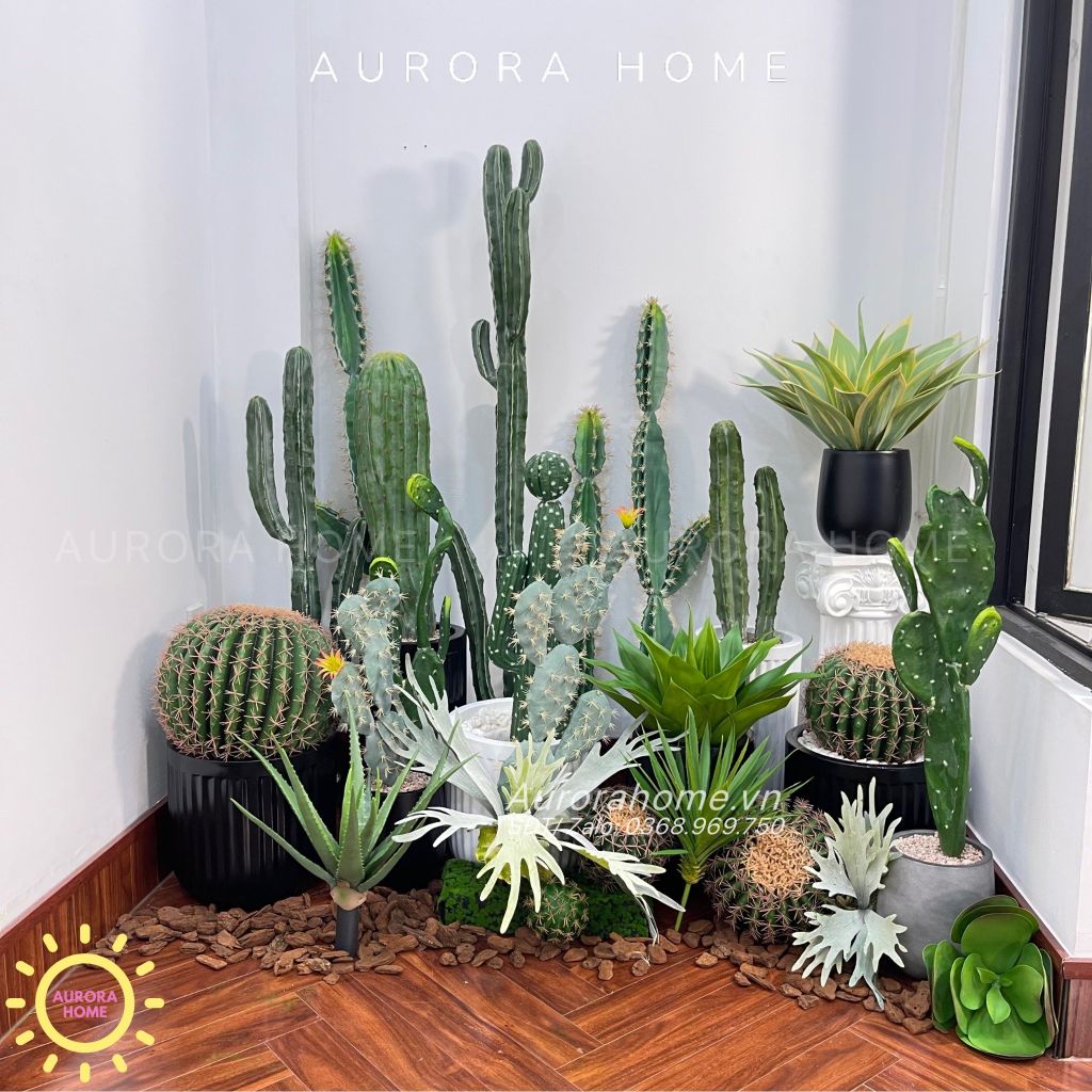 Set tiểu cảnh xương rồng giả decor phòng