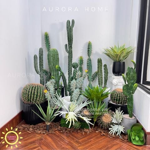 Set tiểu cảnh xương rồng giả decor phòng