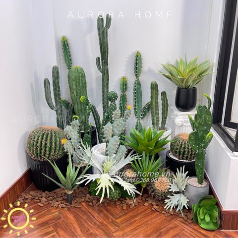 Set tiểu cảnh xương rồng giả decor phòng