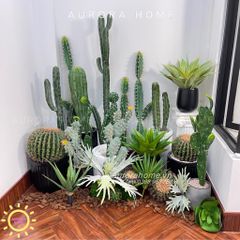 Set tiểu cảnh xương rồng giả decor phòng