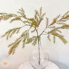 Cành lá thông decor