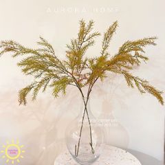 Cành lá thông decor