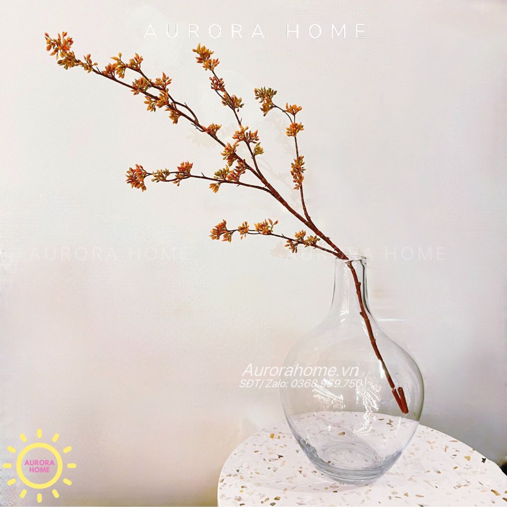 Cành quả kê phong lan decor