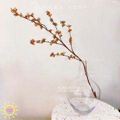 Cành quả kê phong lan decor