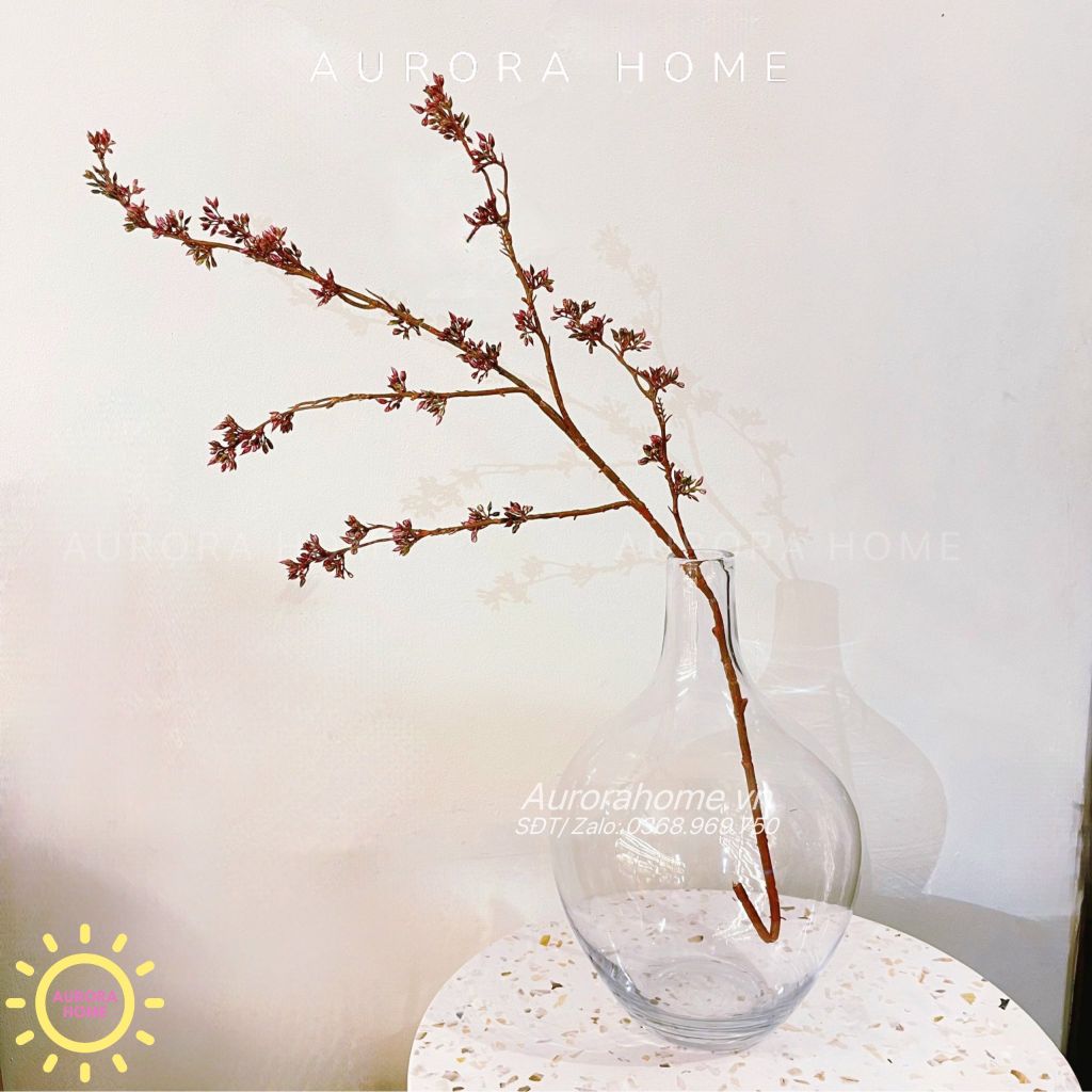 Cành quả kê phong lan decor