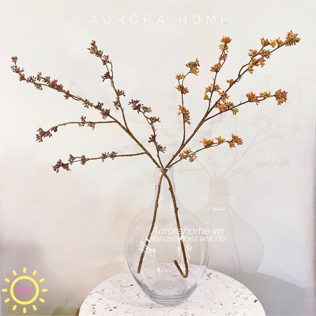 Cành quả kê phong lan decor
