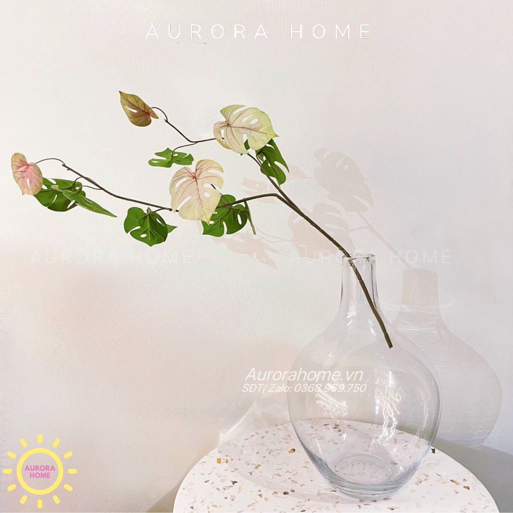 Cành lá rùa decor độc đáo