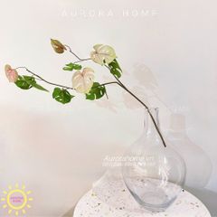 Cành lá rùa decor độc đáo