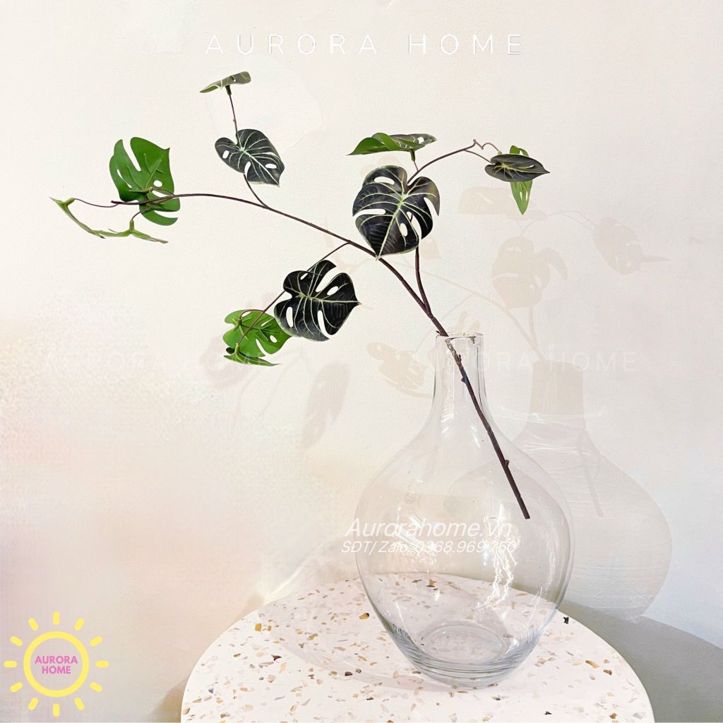 Cành lá rùa decor độc đáo