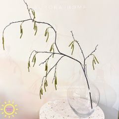 Cành trái dâu tầm decor