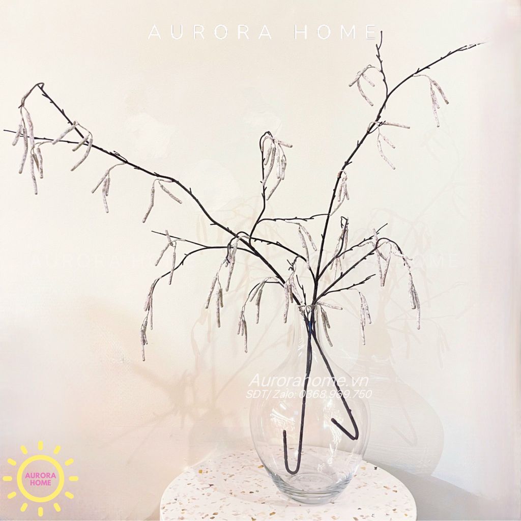 Cành trái dâu tầm decor