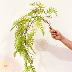 Cành lá dương xỉ rủ decor cao cấp