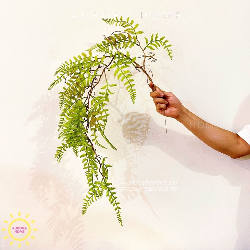 Cành lá dương xỉ rủ decor cao cấp