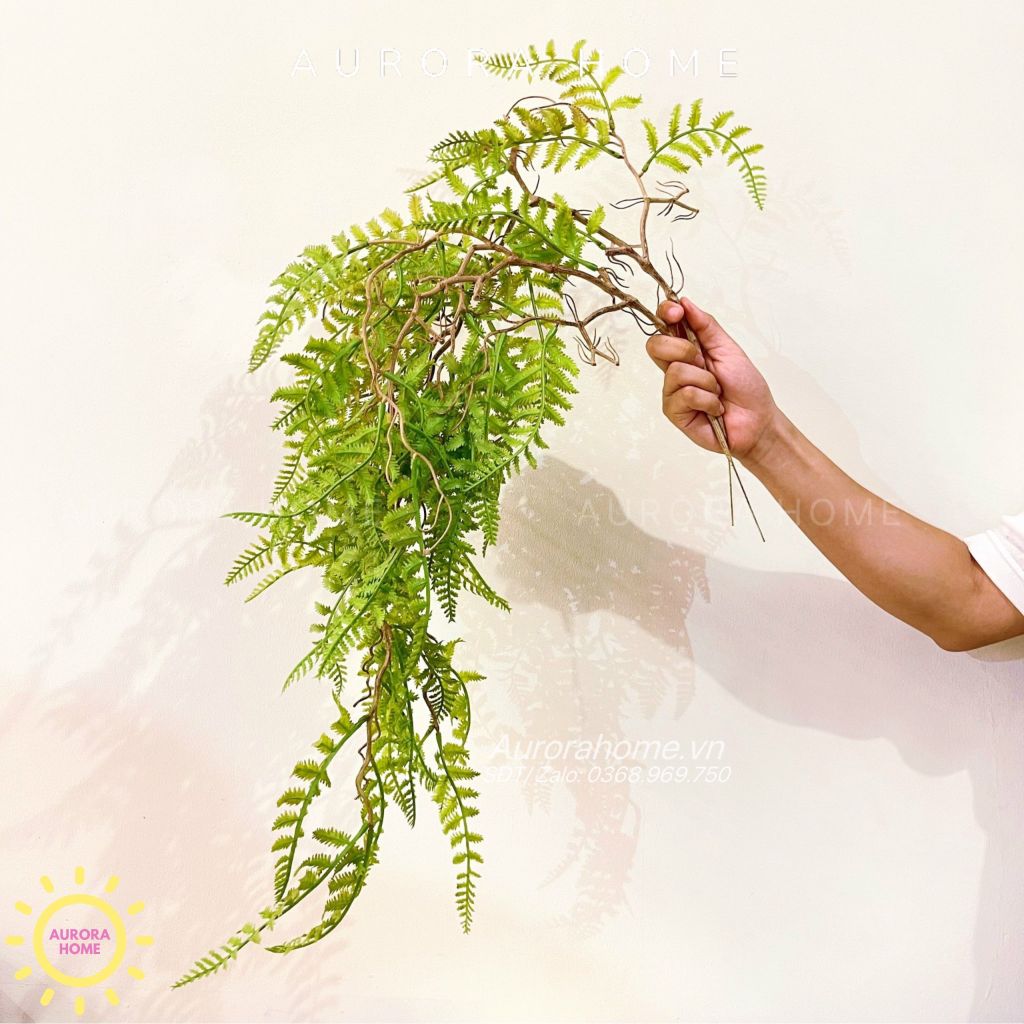 Cành lá dương xỉ rủ decor cao cấp