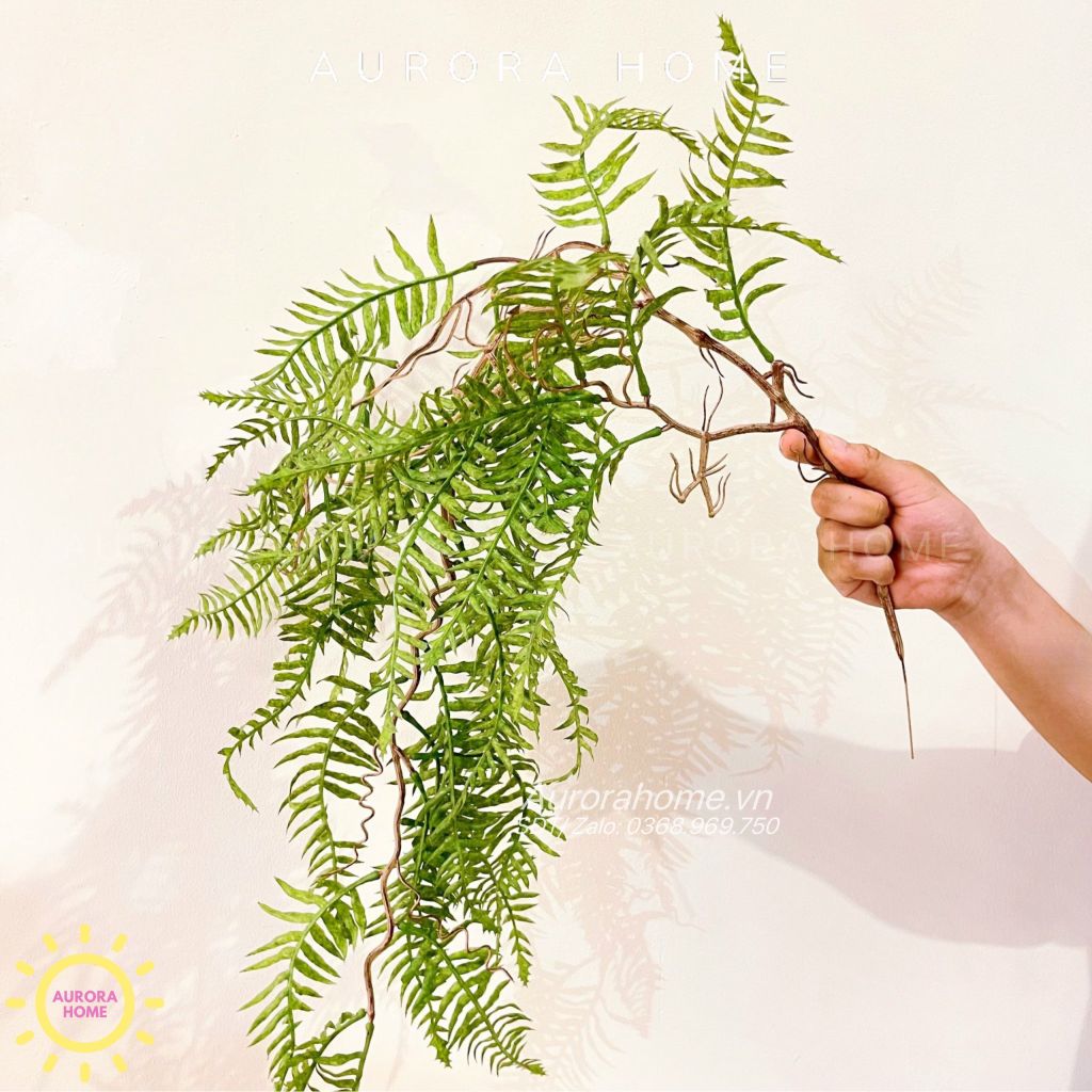 Cành lá dương xỉ rủ decor cao cấp