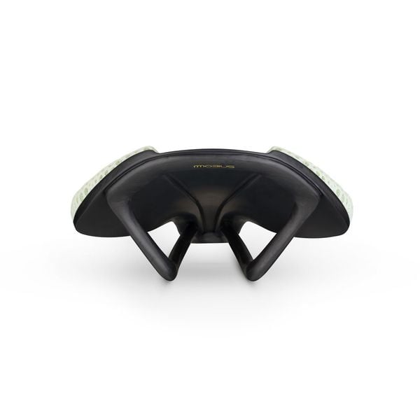 Yên Antares Versus Evo 00 Adaptive