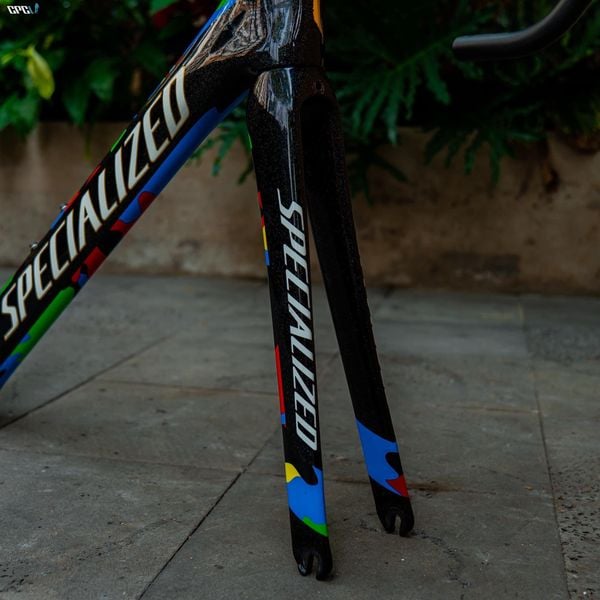 Frameset Specialized Venge