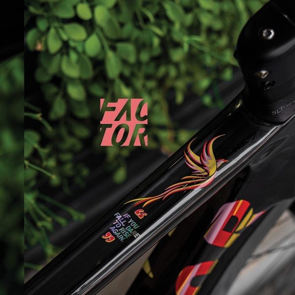 Frameset Factor OSTRO V.A.M Disc Phoenix (Premium Package Frame)