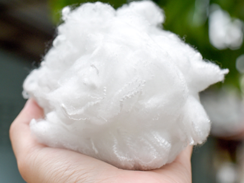  Polyester Staple Fibre ( PSF) 